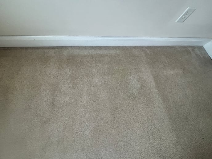 TTS Carpet Example 1-1