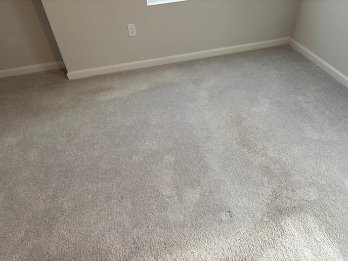 TTS Example carpet 2-1