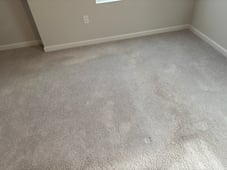 TTS Example carpet 2