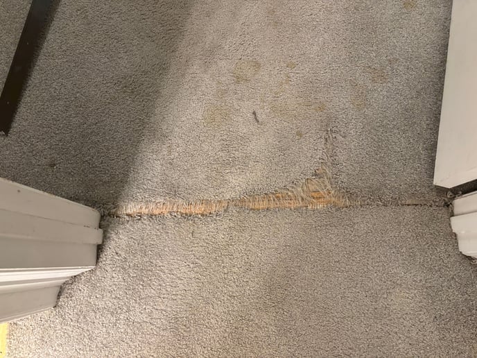 W&T FAQ Carpet Damage 1